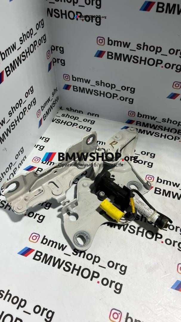 петля капота правая BMW X5 G05 2019, 3.0 л., B57 D30 A, дизель, АКПП, a96, полный привод, правый руль, 7418202