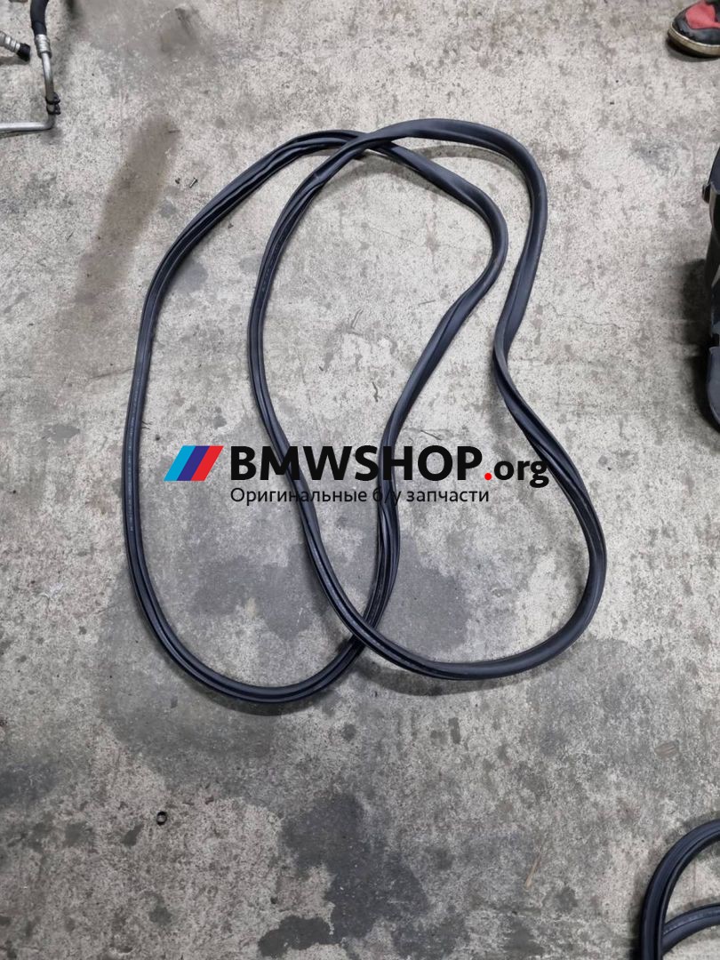 уплотнитель двери BMW 2 серия F44 2021, 1.5 л., бензин, передний привод, правый руль, 7483099
