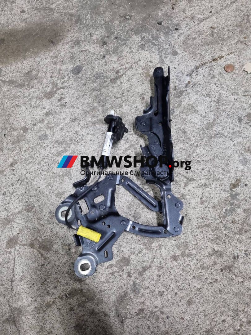 петля капота правая BMW X2 F39 2019, 2.0 л., B47 C20 B, дизель, АКПП, mineral-grau metallic, полный привод, правый руль, 7329442