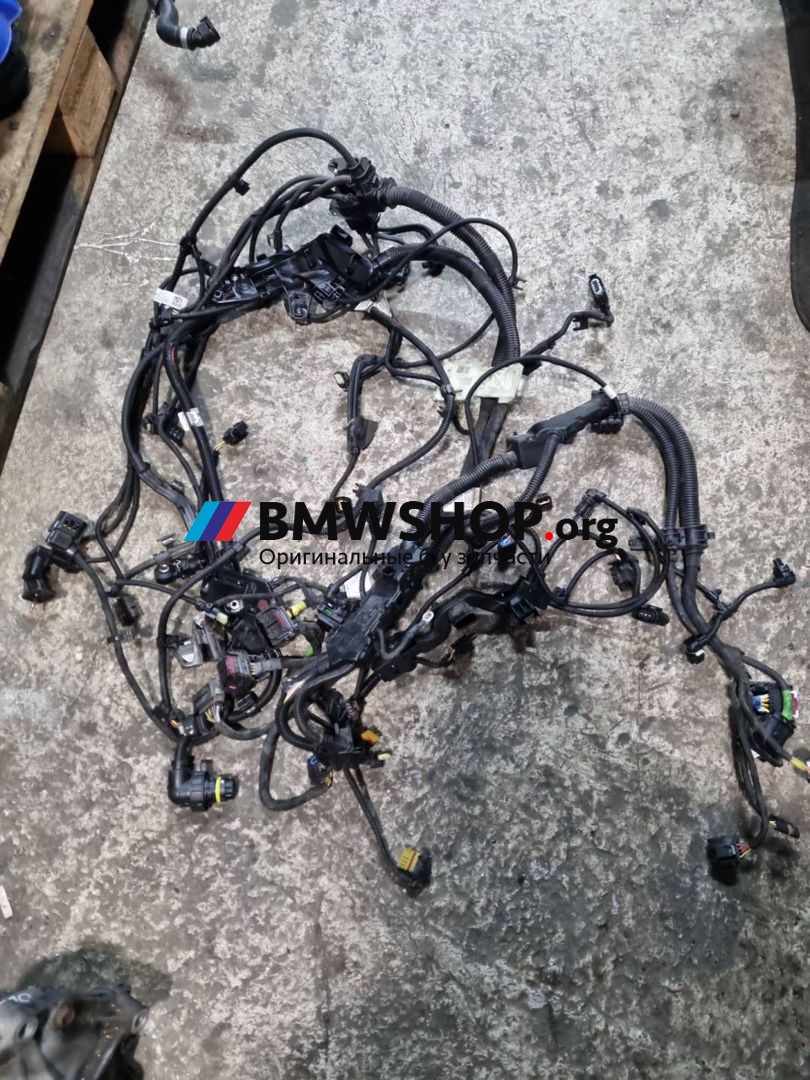 проводка двигателя BMW X5 G05 2021, 3.0 л., B58B30, бензин, АКПП, внедорожник 5 дв., полный привод, 9453634, 8741338