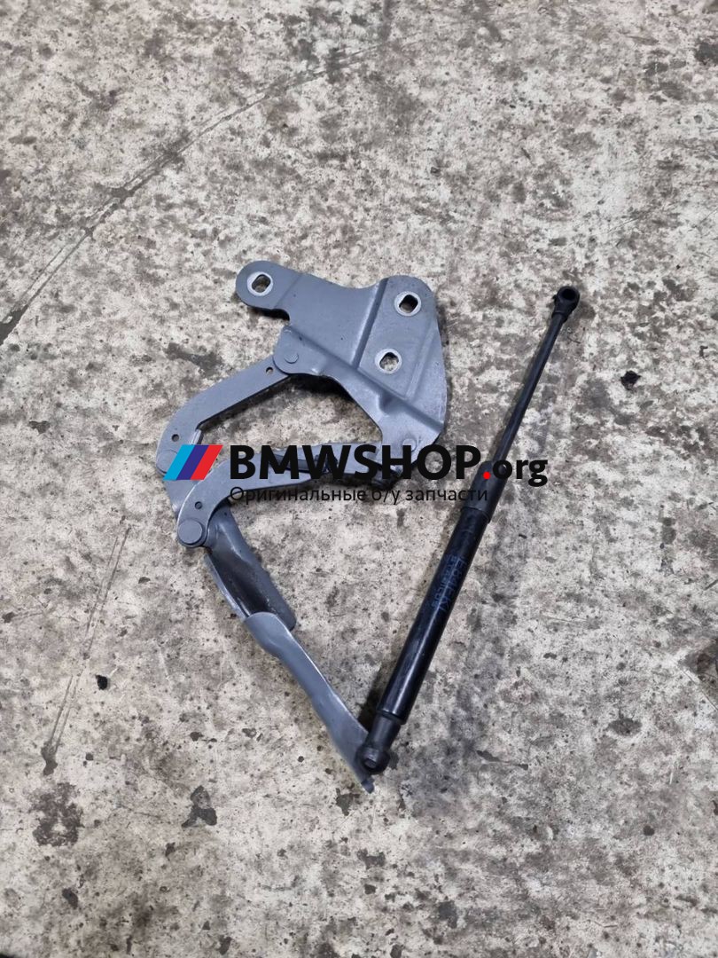 петля капота правая BMW X1 E84 [рестайлинг] E84 2012, 2.0 л., N47 D20 C, дизель, МКПП, внедорожник 5 дв., задний привод, правый руль, 2990360