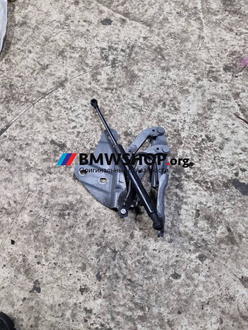 петля капота левая BMW X1 E84 [рестайлинг] 2012, 2.0 л., N47 D20 C, дизель, МКПП, внедорожник 5 дв., задний привод, 2990359
