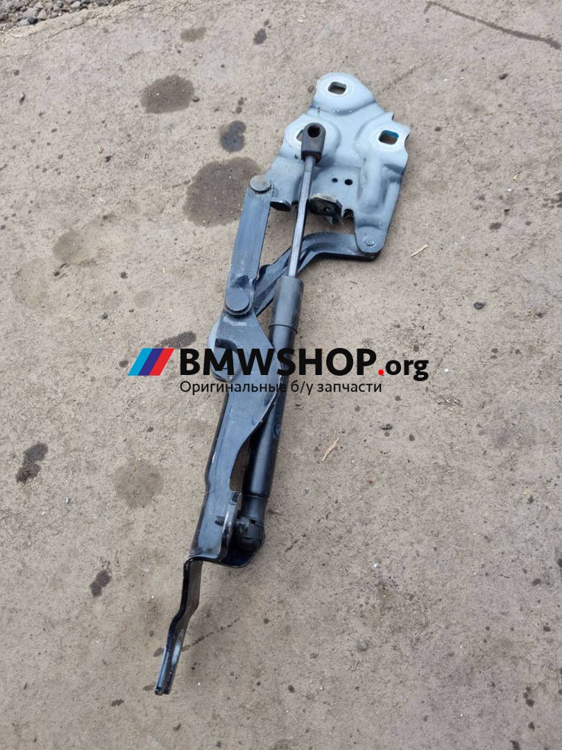 петля капота левая BMW X4 F26 2017, 3.0 л., N57 D30 A, дизель, АКПП, 416 carbon schwarz, внедорожник 5 дв., полный привод, правый руль, 7210729