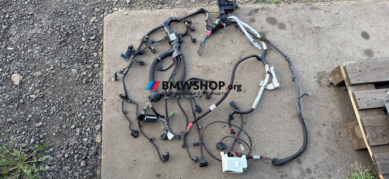 проводка двигателя BMW 4 серия F32/F33 [рестайлинг] 2020, 2.0 л., B47 D20 A, дизель, АКПП, 7580432, 8575261, 8586489