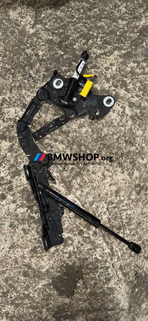 петля капота правая BMW X5 G05 2023, 3.0 л., B58B30, бензин, c36 dravitgrau metallic, полный привод, правый руль, 7418202