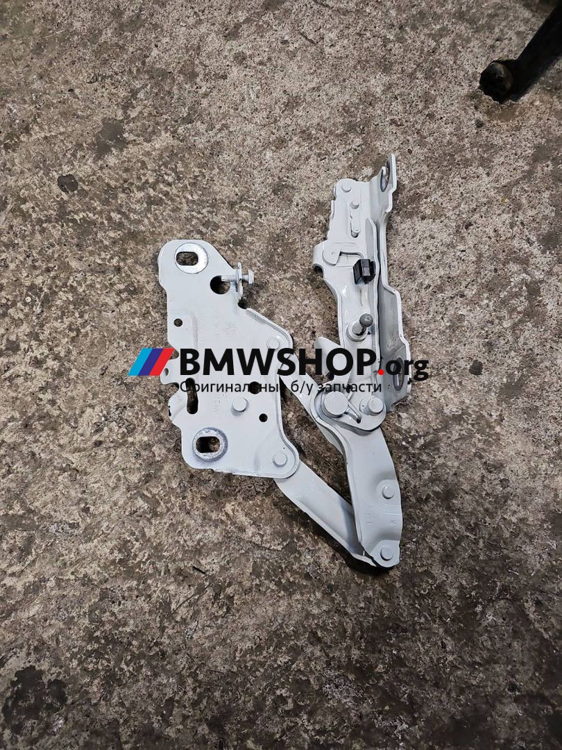 петля капота правая BMW X3 G01 2019, 2.0 л., B47 D20 B, дизель, АКПП, внедорожник 5 дв., 7397500
