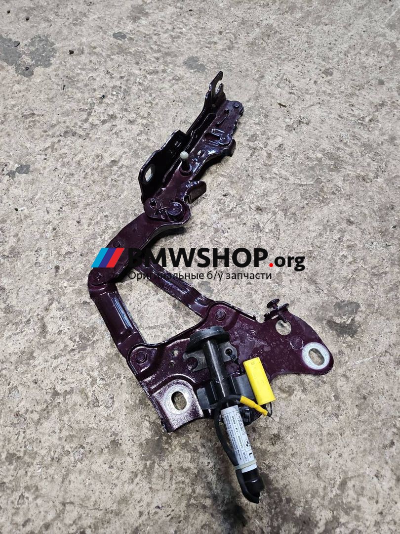 петля капота левая BMW X5 G05 2021, 3.0 л., гибрид, АКПП, x1b ametrin metallic, внедорожник 5 дв., полный привод, правый руль, 7418201
