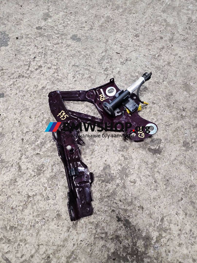 петля капота правая BMW X5 G05 2021, 3.0 л., гибрид, АКПП, внедорожник 5 дв., 7414202
