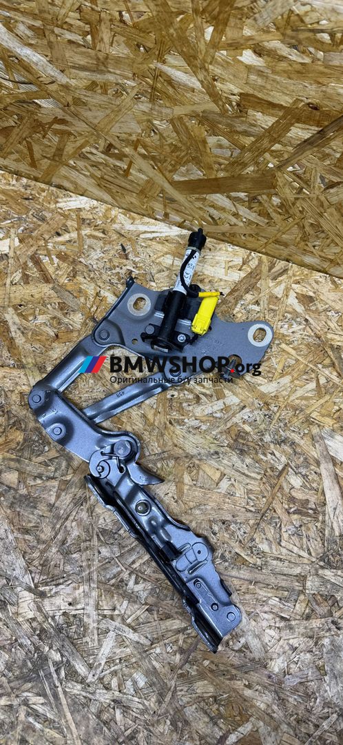 петля капота правая BMW X6 G06 2023, 3.0 л., B57 D30 B, дизель, АКПП, c4w skyscraper grau metallic, внедорожник 5 дв., полный подключаемый привод, 7418202