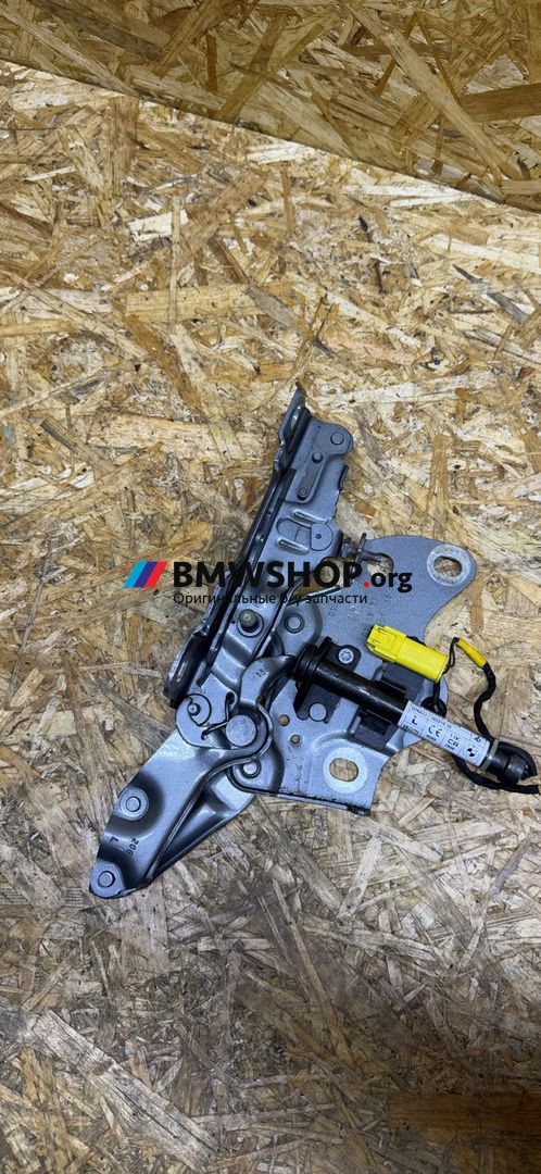 петля капота левая BMW X6 G06 2023, 3.0 л., B57 D30 B, дизель, АКПП, внедорожник 5 дв., 7418201