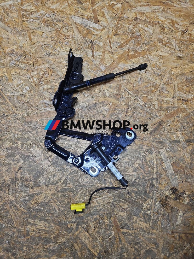 петля капота левая BMW X3 G01 [рестайлинг] G01 2022, 3.0 л., B58B30, бензин, АКПП, внедорожник 5 дв., 7397499