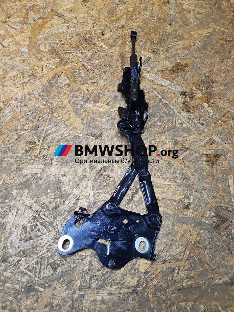 петля капота левая BMW X6 G06 [рестайлинг] G06 2024, 3.0 л., B58B30, бензин, АКПП, внедорожник 5 дв., 7418202