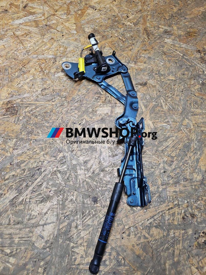 петля капота левая BMW X5 G05 [рестайлинг] G05 2024, 3.0 л., B57 D30 B, дизель, АКПП, внедорожник 5 дв., 7418201