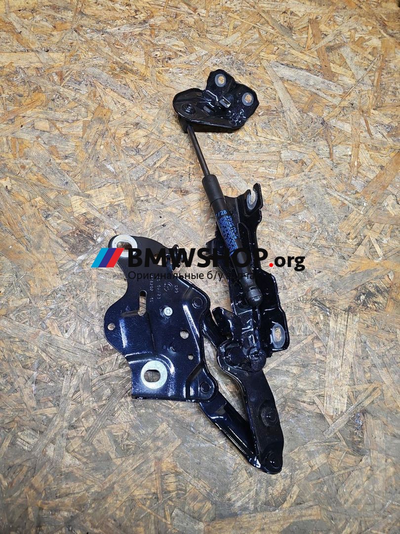 петля капота правая BMW X6 G06 [рестайлинг] G06 2024, 3.0 л., B58B30, бензин, АКПП, 416 carbon-schwarz, внедорожник 5 дв., полный привод, 7418202