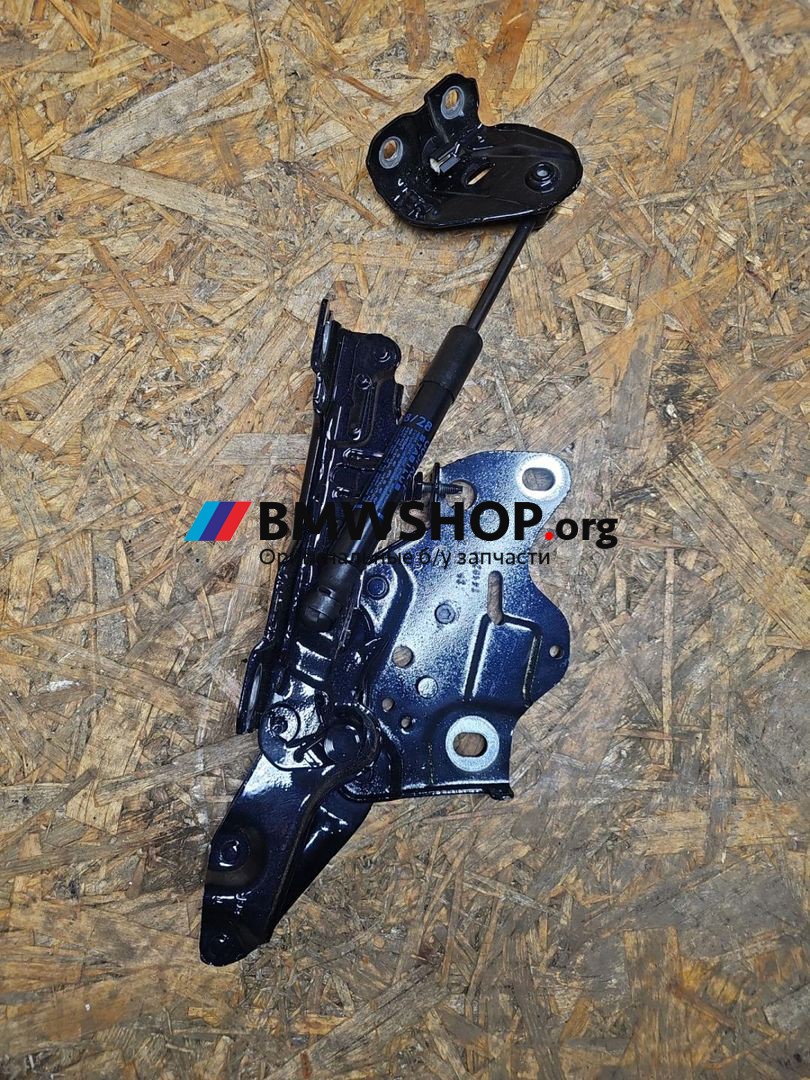 петля капота левая BMW X6 G06 [рестайлинг] G06 2024, 3.0 л., B58B30, бензин, АКПП, внедорожник 5 дв., 7418201