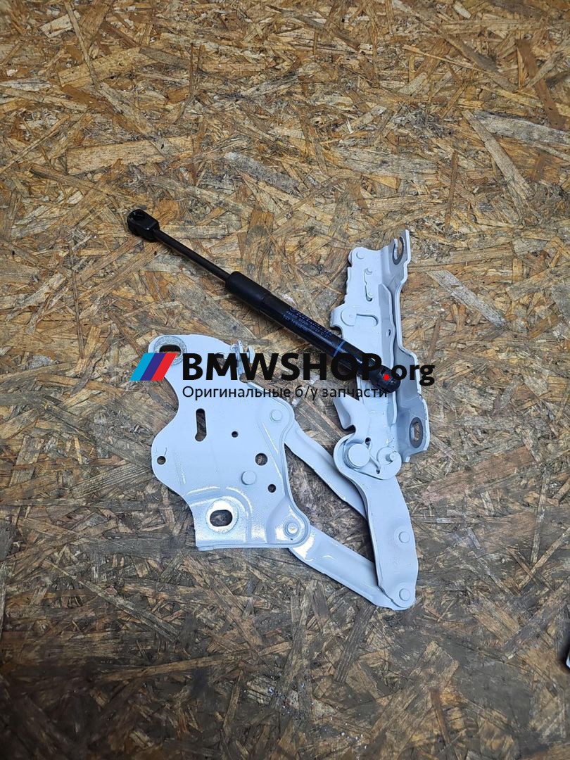 петля капота правая BMW X5 G05 [рестайлинг] G05 2023, 3.0 л., B58B30, бензин, АКПП, a96, внедорожник 5 дв., полный привод, 7418202