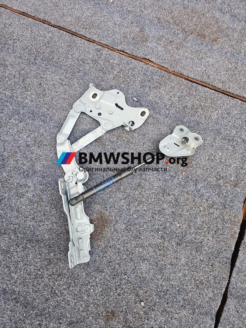 петля капота правая BMW X3 G01 [рестайлинг] G01 2023, 2.0 л., B46 B20 B, бензин, АКПП, a300, внедорожник 5 дв., полный привод, 7418202