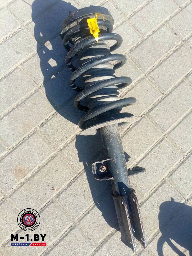 стойка передняя левая BMW X5 E53 (1999 - 2003), 3.0 л., бензин, 22194425, 31316754343