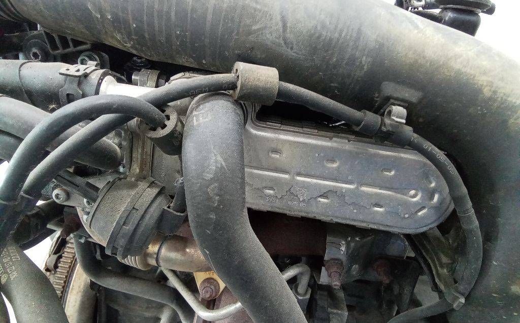 охладитель EGR / Радиатор EGR Volkswagen Passat B6 2005, 2.0 л., дизель, МКПП, 038131513