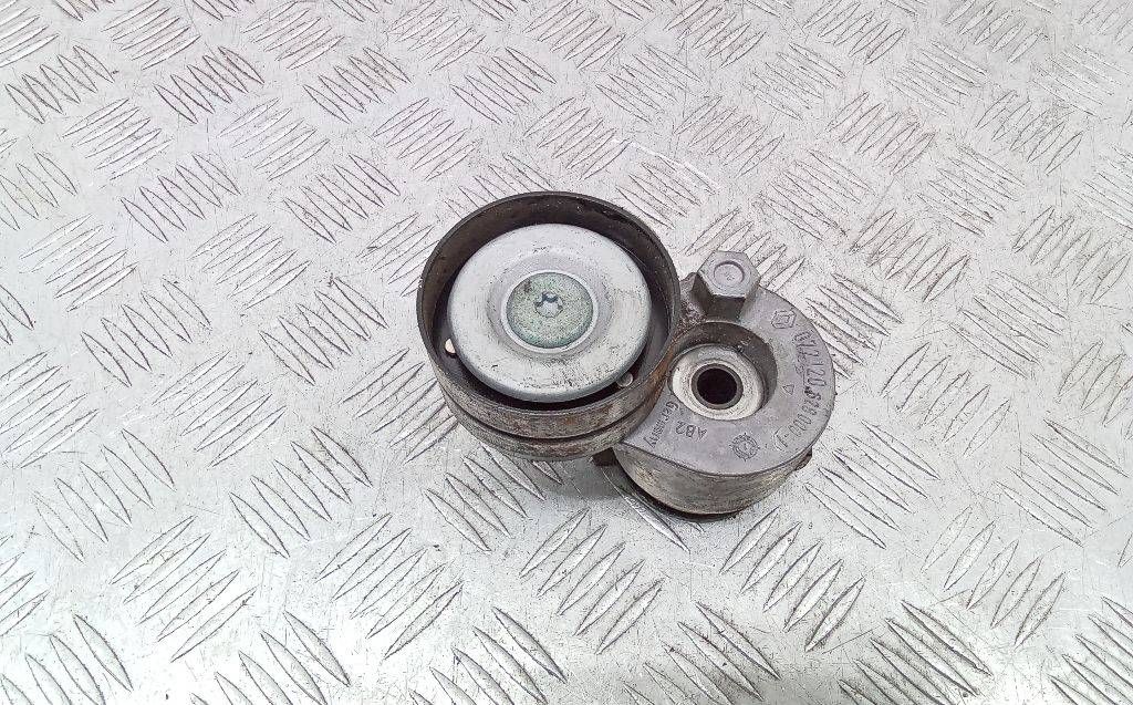 натяжитель Renault Scenic 2 поколение 2005, 072120628000