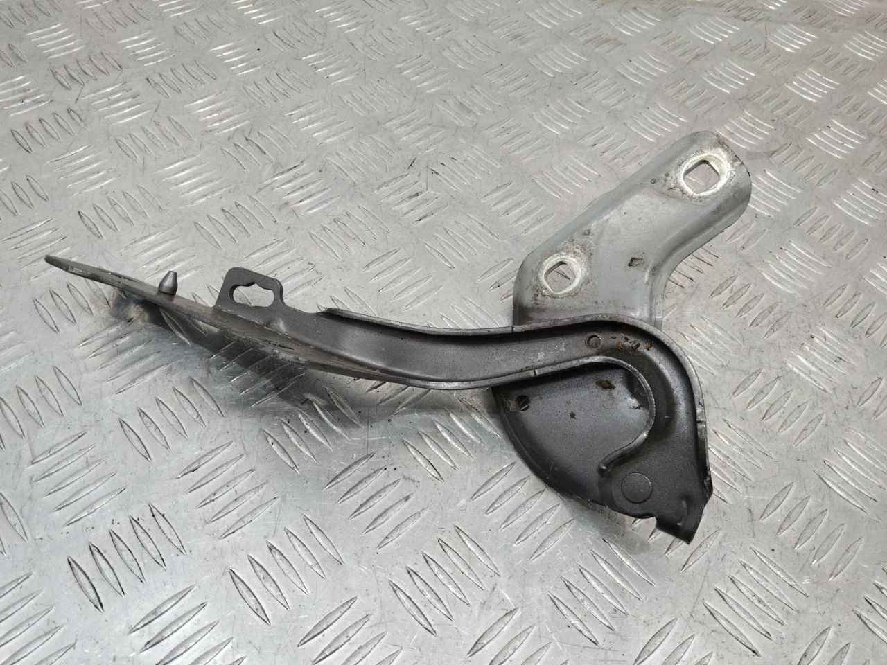 петля капота левая Renault Clio 3 поколение 2008, 719033