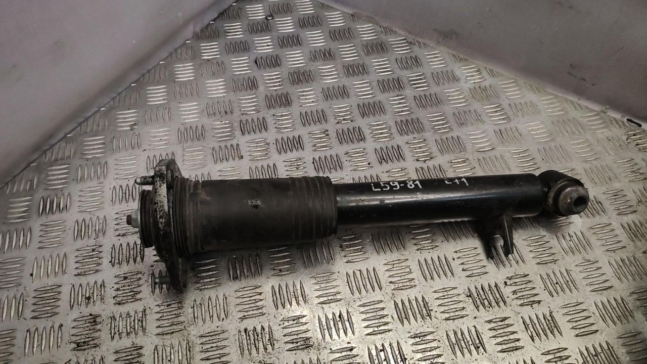 амортизатор задний левый BMW X6 E71/E72 2011, 3.0 л., N57 D30 A, дизель, АКПП, внедорожник 5 дв.