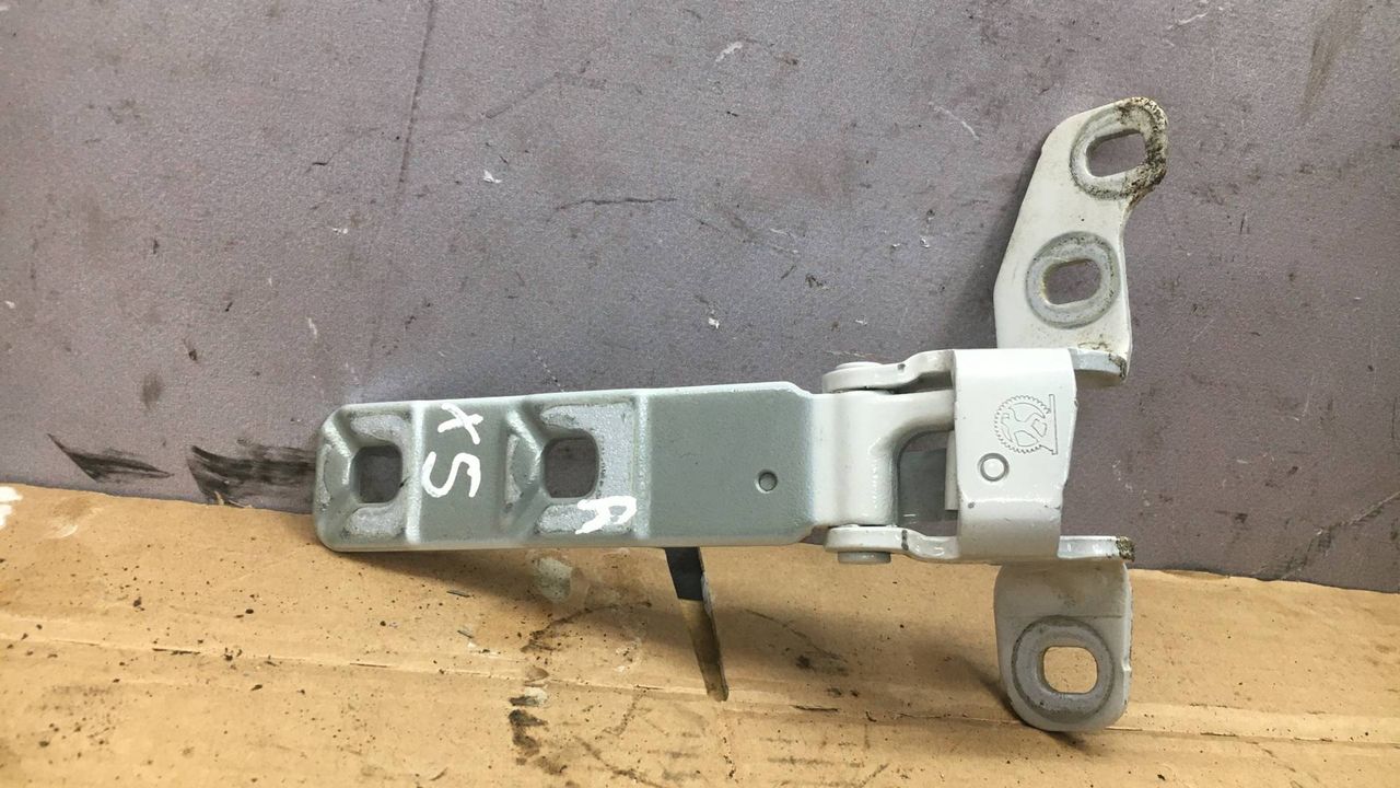 петля крышки багажника BMW X5 F15 2018, внедорожник 5 дв., 7294434