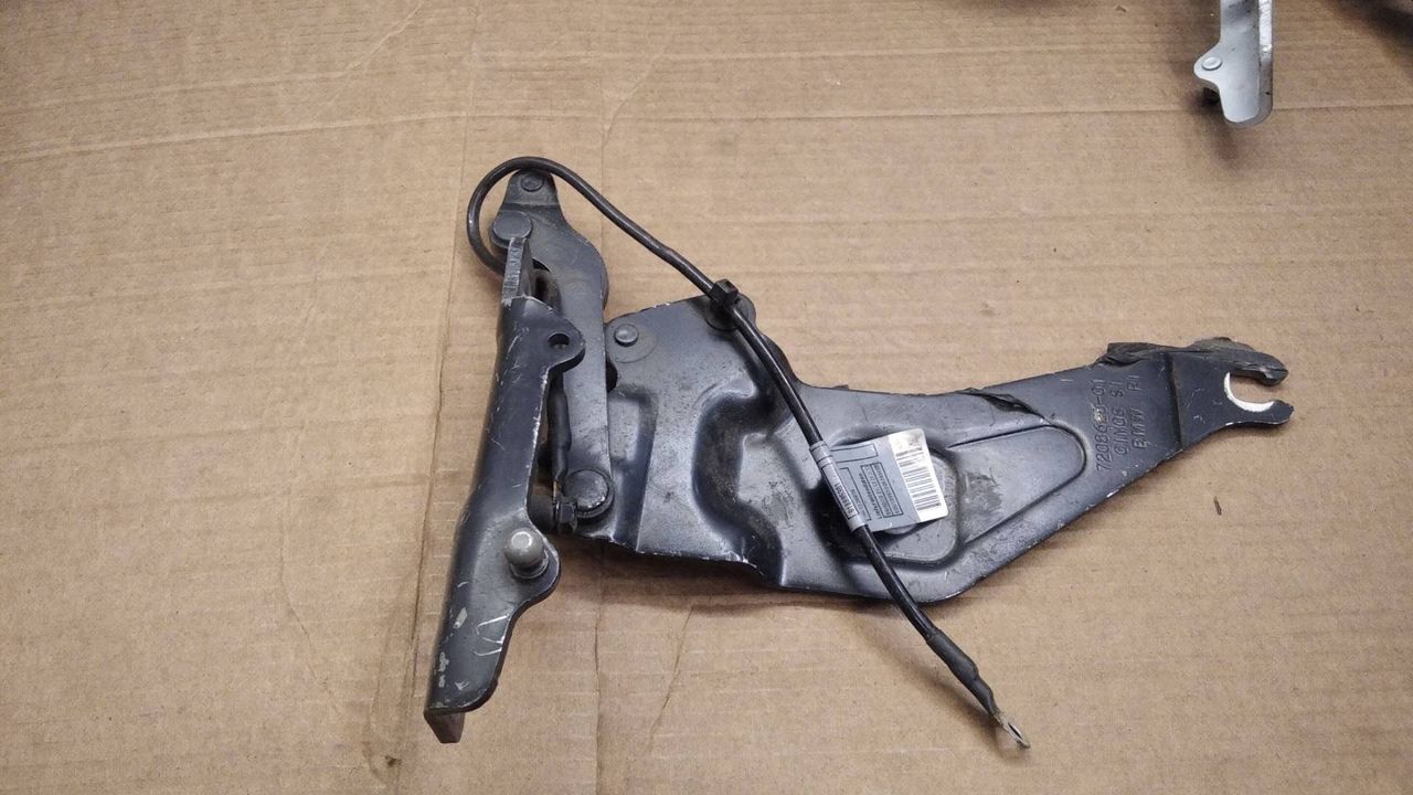 петля капота правая BMW X5 E70 2009, 3.0 л., дизель, АКПП, внедорожник 5 дв., 7208628