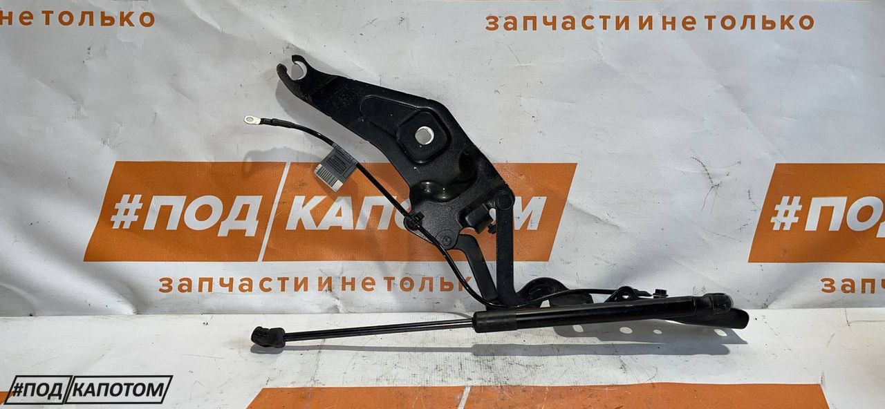 петля капота правая BMW X5 E70 2009, 4.8 л., N62 B48 B, бензин, АКПП, 416, внедорожник 5 дв., полный привод, 7208628-01, 41007198618 - фото №1