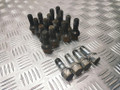 болт колесный BMW X5 E53 2001, 4.4 л., i, M62 B44 (448S2), бензин, АКПП, oxfordgruen ii / 430, внедорожник 5 дв., полный привод, правый руль