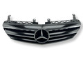 решетка радиатора Mercedes-Benz R-Класс W251 [рестайлинг] 2009, 3.0 л., CDi, OM 642.950, дизель, АКПП, iridiumsilber, универсал, полный привод, правый руль, A2518800483, A2518880423, A2518880223