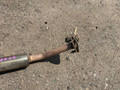 банка глушителя средняя Citroen C4 1 поколение LC 2006, 1.6 л., NFU (TU5JP4), бензин, АКПП, купе - фото №9