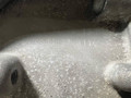 КПП автоматическая (АКПП) Volkswagen Touran 1 поколение [2-й рестайлинг] 2013, 1.4 л., CTHB, бензин, АКПП, минивэн, DSG7, PKM, DQ200 - фото №3
