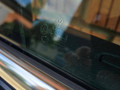 дверь задняя правая Volkswagen Passat B7 2011, 1.8 л., CDAA, бензин, АКПП, синий, седан, передний привод, правый руль, 3C9833056D - фото №15