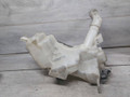 бачок омывателя Mazda 3 BK (2003 - 2005), хетчбэк 5 дв., BP4K67480D, 860142721 - фото №2