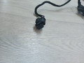 дверная проводка Mercedes-Benz C-Класс W205/S205/C205 2014, 2.0 л., M 274.920, бензин, АКПП, белый, седан, задний привод, правый руль, A2055403247, A2055405366 - фото №2