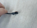 датчик износа тормозных колодок Mercedes-Benz E-Класс W212 [рестайлинг] W212 (2013 - 2016), 2.0 л., M 274.920, бензин, синий, седан, задний привод, правый руль, A2125401605 - фото №5