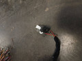 проводка BMW 5 серия G30/G31 G31 2017, 2.0 л., B48 B20 B, бензин, АКПП, alpinweiss 3 (300), универсал, правый руль - фото №12