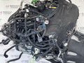 двигатель BMW X3 G01 2019, 2.0 л., B46 B20 B, бензин, АКПП, белый alpinweiss 3 (300), задний привод, 11002455326, 11002455327 - фото №38