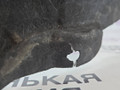 защита днища BMW X5 F15 2014, 3.0 л., N57 D30 A, дизель, АКПП, mineralweiss metallic (a96), полный привод, правый руль, 7308675, 51757308675 - фото №5