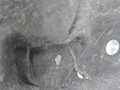 защита днища BMW X5 F15 2014, 3.0 л., N57 D30 A, дизель, АКПП, mineralweiss metallic (a96), полный привод, правый руль, 7308675, 51757308675 - фото №10