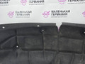 защита арок задняя левая (подкрылок) BMW X1 F48 2016, 2.0 л., B47 C20 A, дизель, АКПП, alpinweiss 3 (300), передний привод, правый руль, 51717346041, 7346041 - фото №3