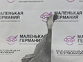 кронштейн компрессора кондиционера BMW 3 серия E90/E91/E92/E93 (2004 - 2010), 2.0 л., N46 B20 B, бензин, АКПП, 64557505980, 7505980, 64551439241 - фото №3