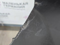 защита арок передняя правая (подкрылок) BMW X1 F48 2016, 2.0 л., B47 C20 A, дизель, АКПП, alpinweiss 3 (300), передний привод, правый руль, 51717342176, 7342176, 51714804674, 4804674 - фото №7