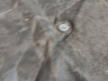 защита днища BMW X1 F48 2016, 2.0 л., B47 C20 A, дизель, АКПП, alpinweiss 3 (300), передний привод, правый руль, 51757290803, 7290803 - фото №11