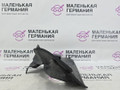 перегородка BMW X5 F15 2014, 3.0 л., N57 D30 A, дизель, АКПП, mineralweiss metallic (a96), полный привод, правый руль, 51717290657, 7290657 - фото №4