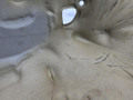шумоизоляция (термозащита) BMW X5 F15 2014, 3.0 л., N57 D30 A, дизель, АКПП, mineralweiss metallic (a96), полный привод, правый руль, 11147823219, 7823219 - фото №8