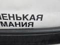 уплотнитель двери BMW X6 F16 2014, 3.0 л., N55 B30 A, бензин, АКПП, красный, правый руль, 51727317812, 7317812, 7317822 - фото №5