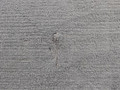 пол багажника BMW X6 F16 2014, 3.0 л., N55 B30 A, бензин, АКПП, красный, правый руль, 51477369386, 7369386 - фото №3