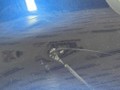 бампер задний BMW X1 F48 2017, 2.0 л., B48 A20 B, бензин, АКПП, синий mediterranblau c10, полный привод, правый руль, 51127403391, 7403391, 61617355547, 7355547, 51127355260, 7355260, 51127355271, 7355271, 51127332324, 7332324, 51127361233, 7361233 - фото №5